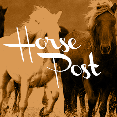 Horse Post